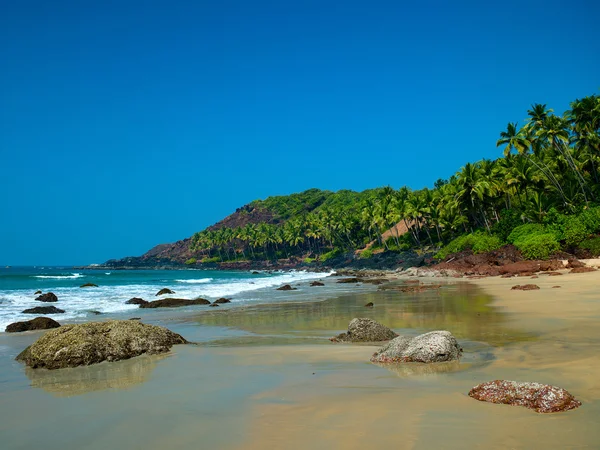 Beach with palm trees — Stock Photo, Image