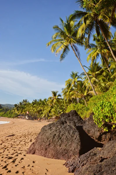 Strand met palmbomen — Stockfoto