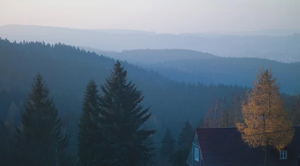 Paesaggio forestale di montagne — Foto Stock