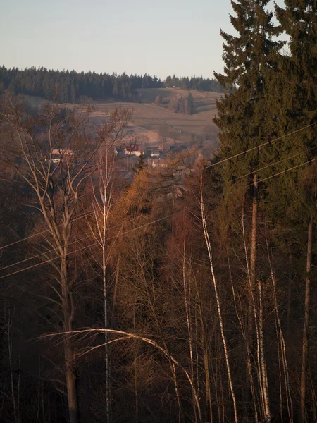 Paesaggio forestale di montagne — Foto Stock