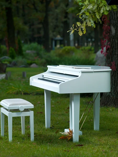 Vit piano i naturen — Stockfoto