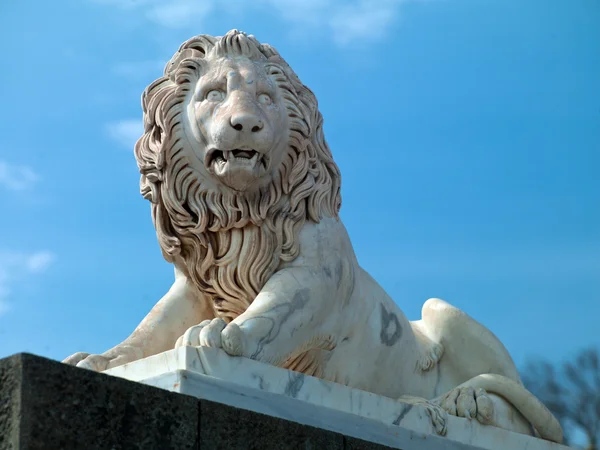 Estátua de leão — Fotografia de Stock