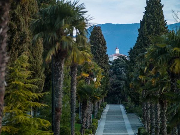 Landscape trees — Stock Photo, Image