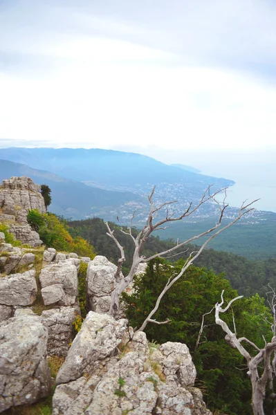 Crimea las montañas la naturaleza — Foto de Stock