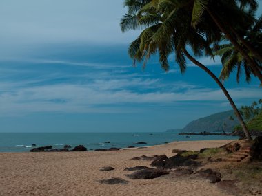 Cola beach Goa