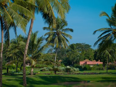 manzara goa