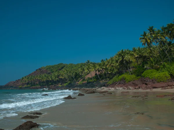 Cola plaży Goa — Zdjęcie stockowe
