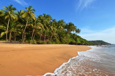 manzara goa