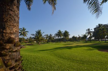 manzara goa