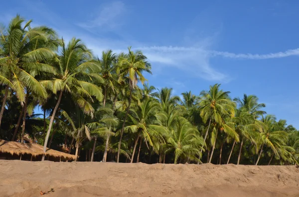 Landscape goa — Stock Photo, Image