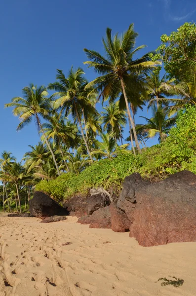 Landscape goa — Stock Photo, Image