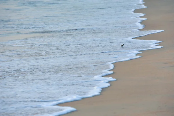 Oceanside — Stok fotoğraf