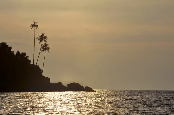 Landskap goa — Stockfoto