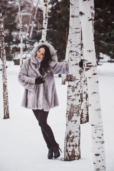 Menina em um vidoeiro no inverno — Fotografia de Stock