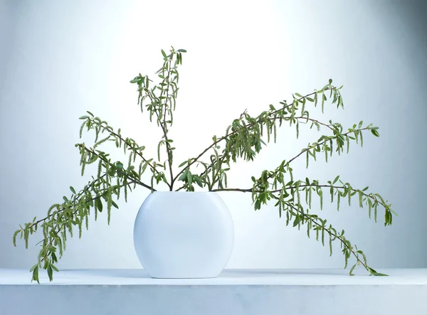 Willow twigs in a vase — Stock Photo, Image