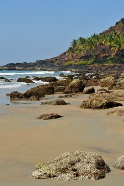 manzara goa