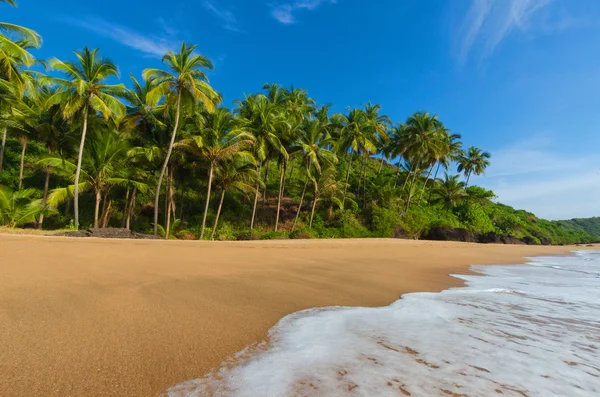 Paisagem goa — Fotografia de Stock