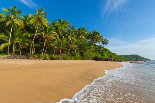 Paisagem goa — Fotografia de Stock