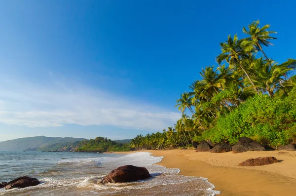 Paesaggio goa — Foto Stock