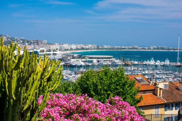 Embankment Cannes Spring Blue Sky — Stock Photo, Image