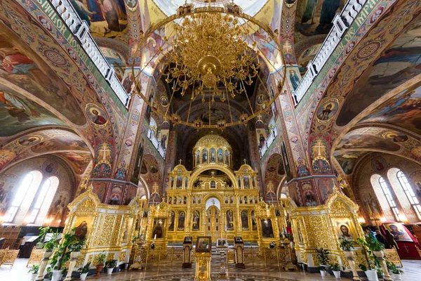 Des Grappes Cathédrale Sainte Trinité Ukraine — Photo