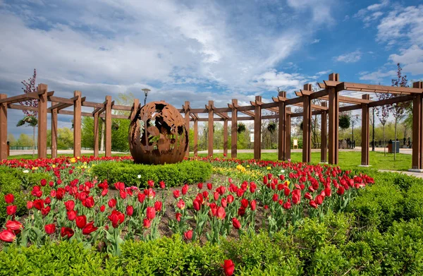 Kiev kentindeki Natalka parkında bir çiçek tarlası. Ukrayna