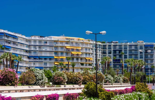 Embankment Con Flores Palmeras Cannes Francia —  Fotos de Stock