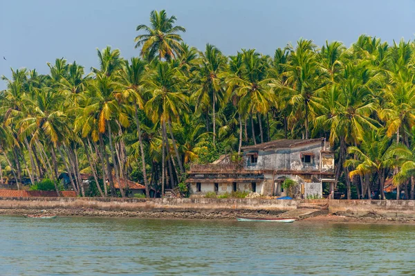 ゴアの海岸にある古い家やヤシの木 インド — ストック写真