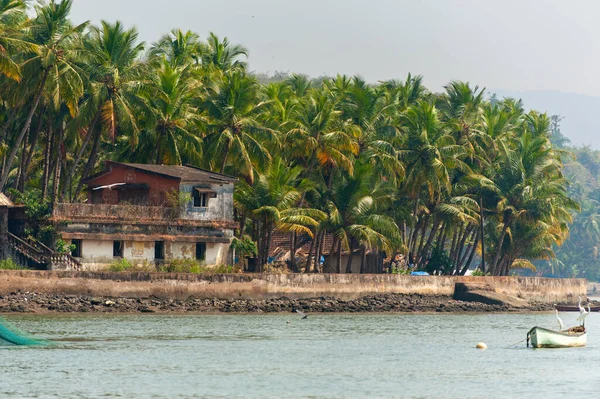 ゴアの海岸にある古い家やヤシの木 インド — ストック写真