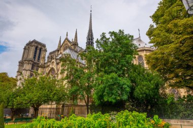 Yazın Notre Dame Katedrali doğa arka planında.