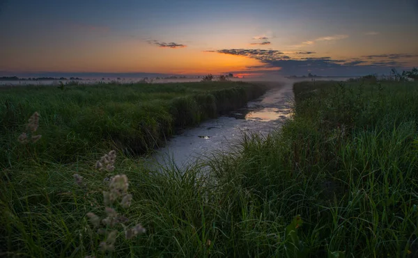 Orange Sunrise Background River Reeds — Fotografia de Stock