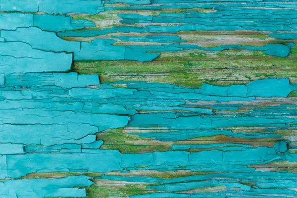 Green Old Cracked Paint Wood — Stock fotografie