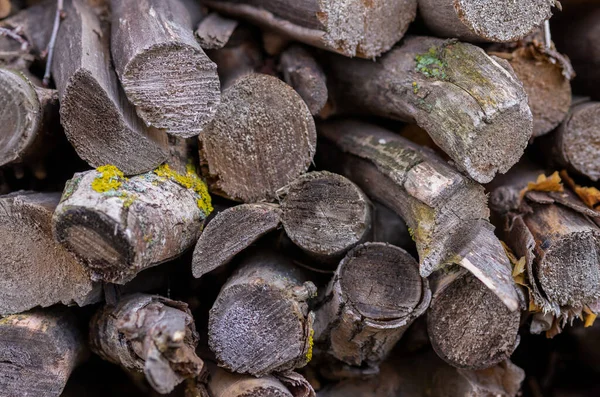 Chopped Wood Stove Street — Foto Stock