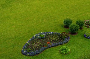 A flower bed in a green meadow.