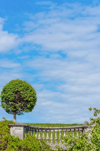 Trimmed Trees Blue Sky Ancient Architecture — Stock Photo, Image