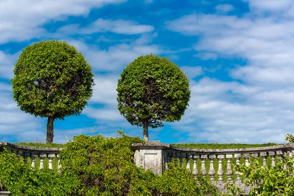 Обрізані Дерева Тлі Блакитного Неба Старовинної Архітектури — стокове фото