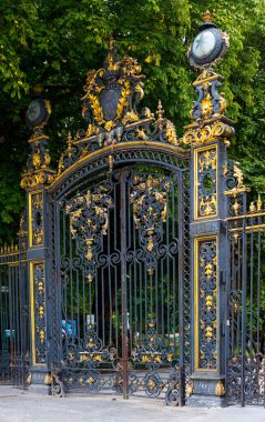 Yaldızla dövülmüş metal kapılar. Paris, Fransa.