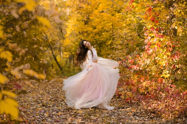 Una Hermosa Chica Con Pelo Largo Hermoso Vestido Esponjoso Luz —  Fotos de Stock