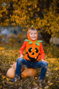 Sonbahar sarı parkında, cadılar bayramı kostümü giymiş, turuncu balkabaklı bir çocuğun portresi.