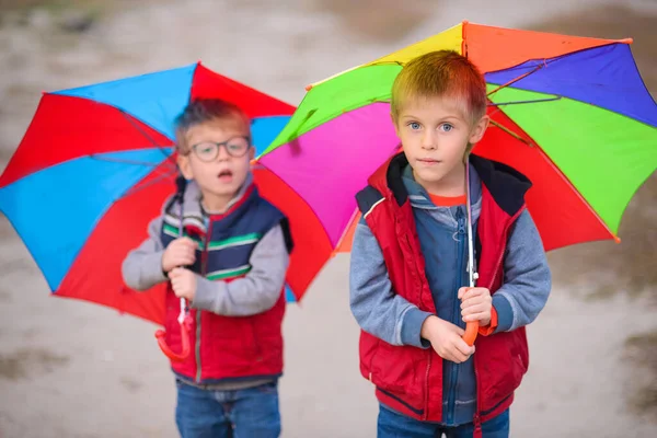 Porträtt Bröder Pojkar Höstkläder Stående Paraplyer Mot Bakgrund Gula Blad — Stockfoto