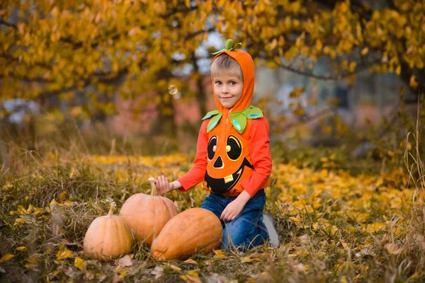 Portrét Chlapce Halloweenském Kostýmu Oranžovými Dýněmi Podzimně Žlutém Parku Padajícími — Stock fotografie