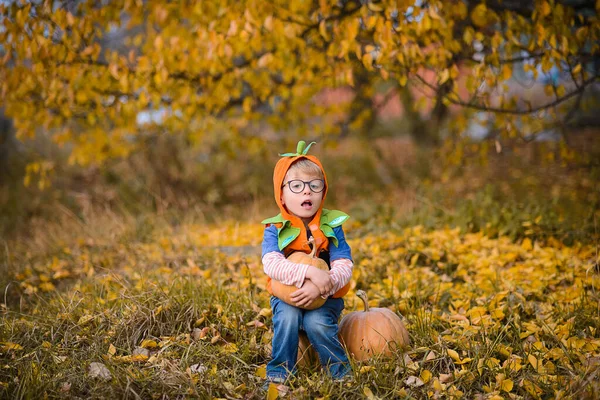 Portrait Boy Halloween Costume Orange Pumpkins Autumn Yellow Park Fallen — Stock Photo, Image
