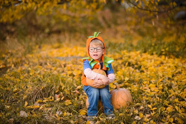 Portrait Boy Halloween Costume Orange Pumpkins Autumn Yellow Park Fallen — Stock Photo, Image