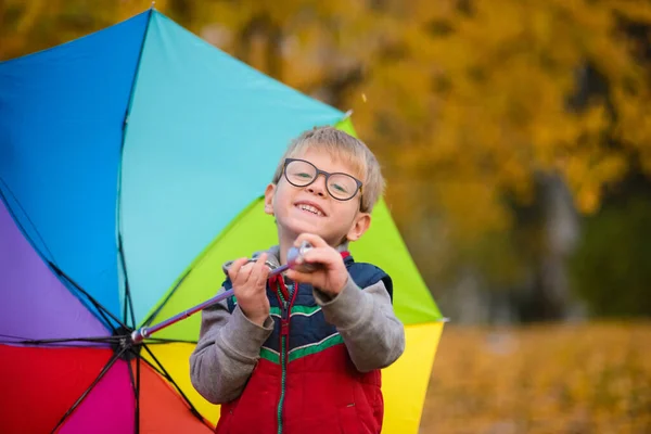 Porträt Eines Jungen Mit Brille Der Unter Einem Regenschirm Steht — Stockfoto