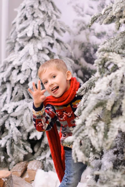 一个穿着毛衣和红围巾的小男孩 从白雪覆盖的冷杉树后面向外张望 挥挥手微笑 露出舌头 — 图库照片