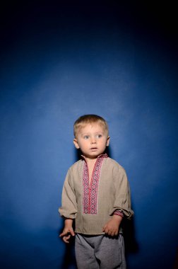 Ukrayna ulusal giysileri içinde yakışıklı bir çocuğun portresi - vyshyvanka, sade mavi arka planda bir fotoğraf stüdyosunda