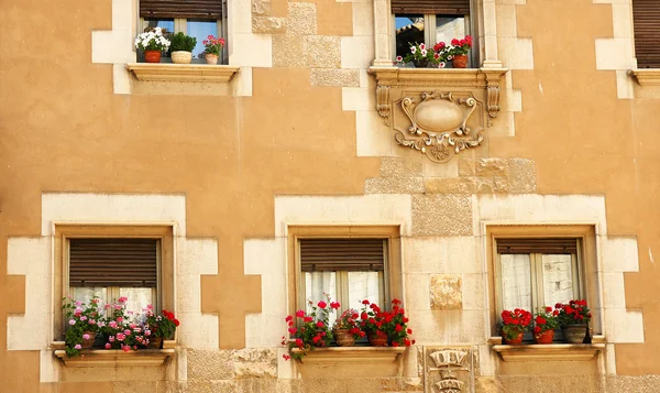 Frente con ventanas con macetas y flores —  Fotos de Stock