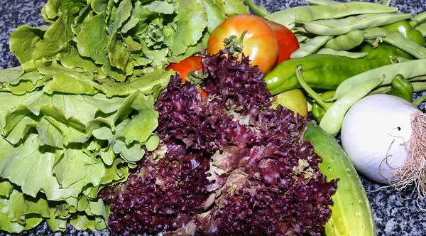 Ингредиенты для салата — стоковое фото