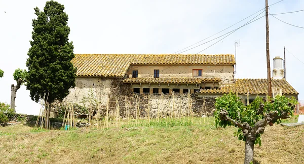 Panorâmica de uma quinta com moinho de vento — Fotografia de Stock