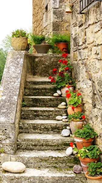 Handles with flowers in the stairs — Stock Photo, Image